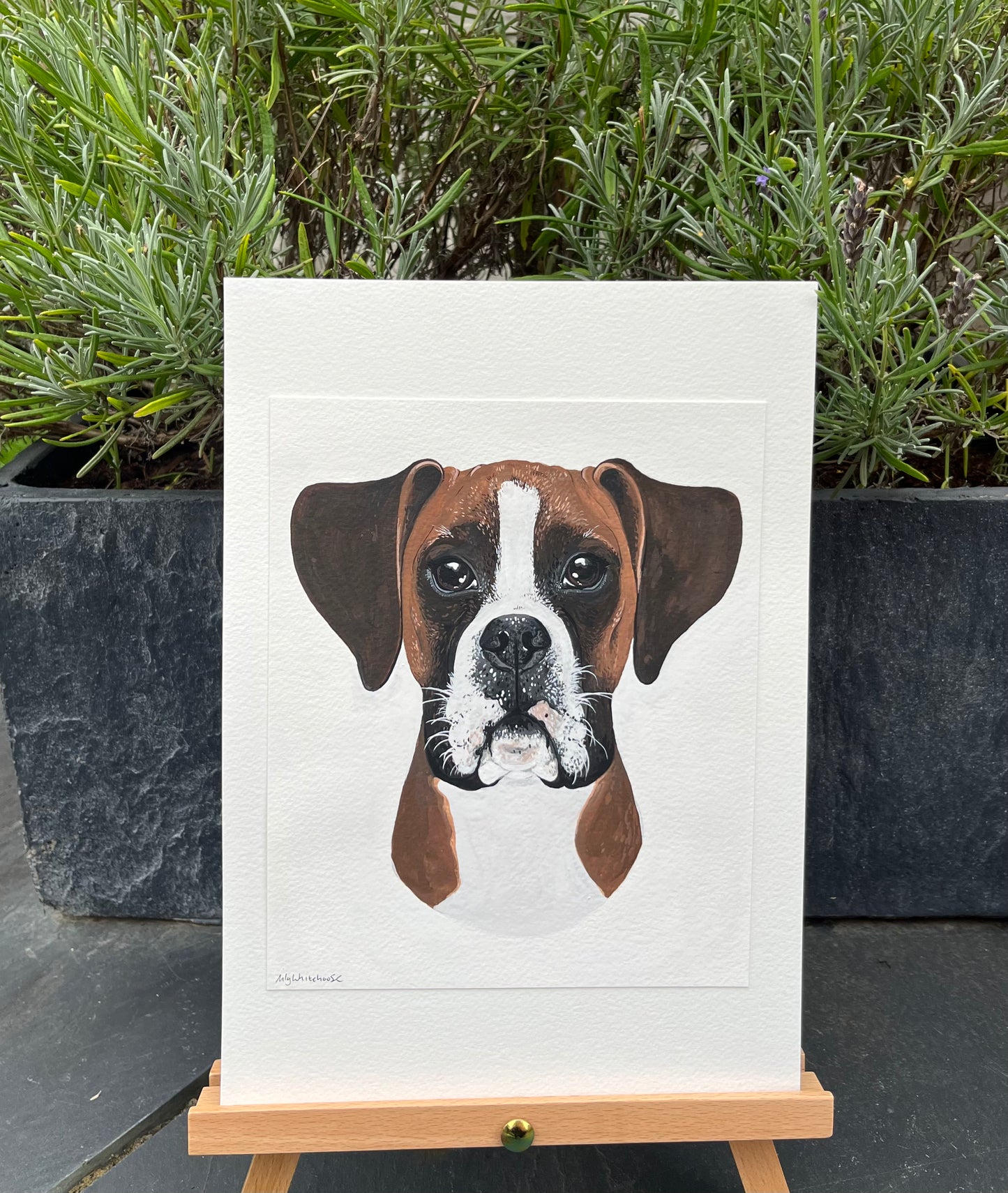 ORIGINAL BOXER PAINTING