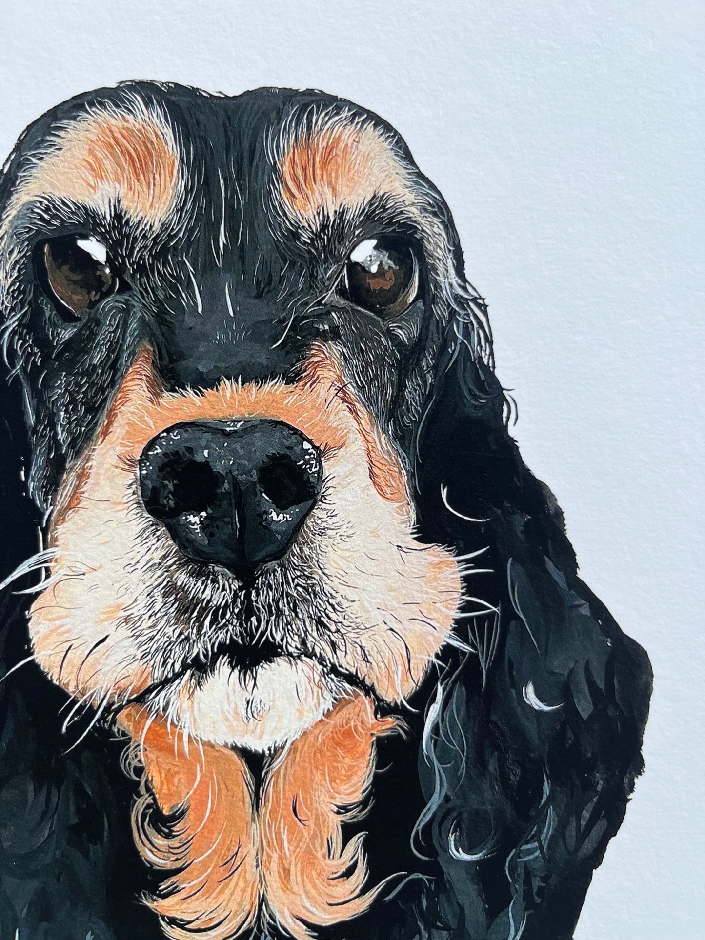 A4 COCKER SPANIEL