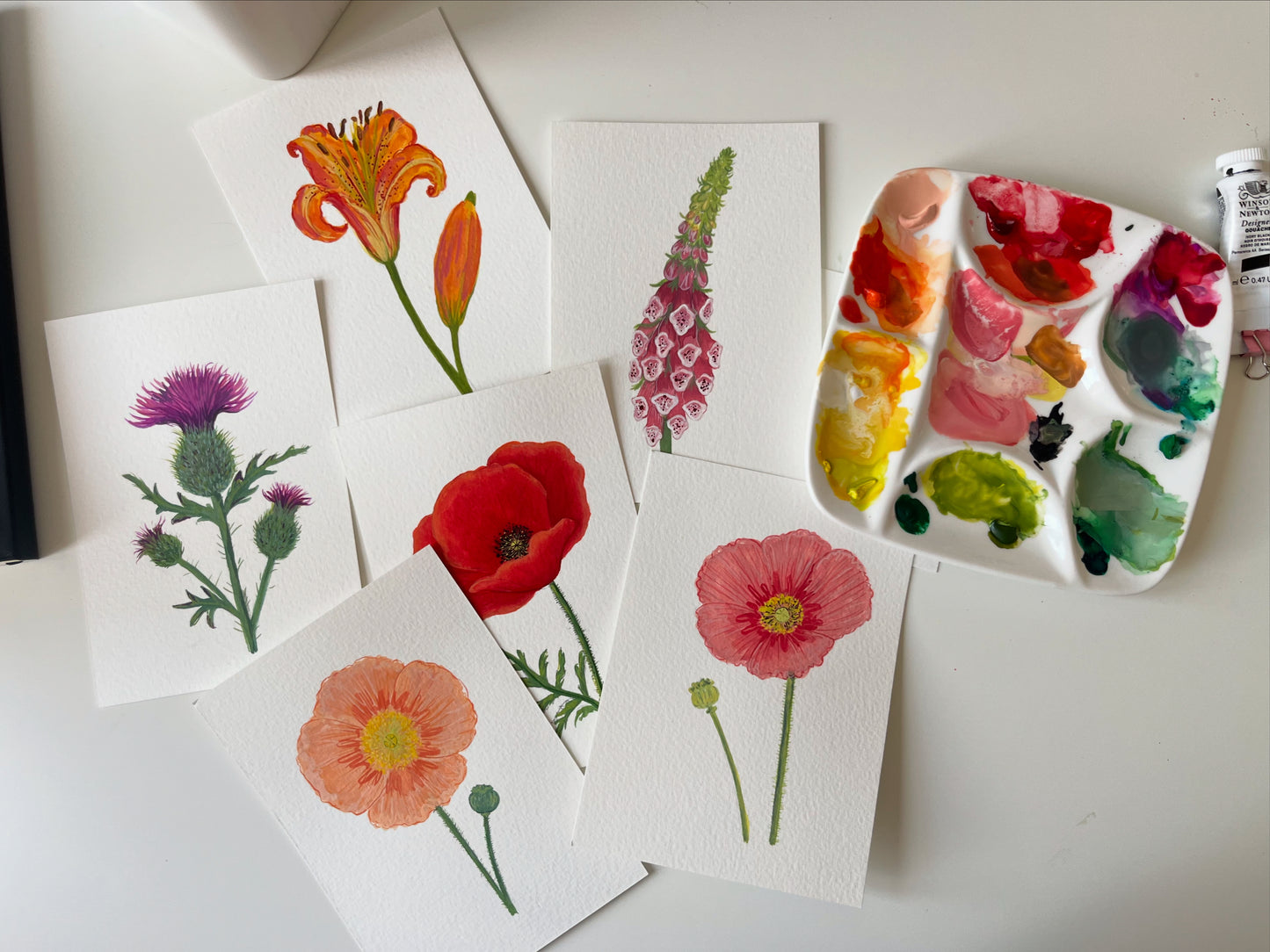 Plant Postcards