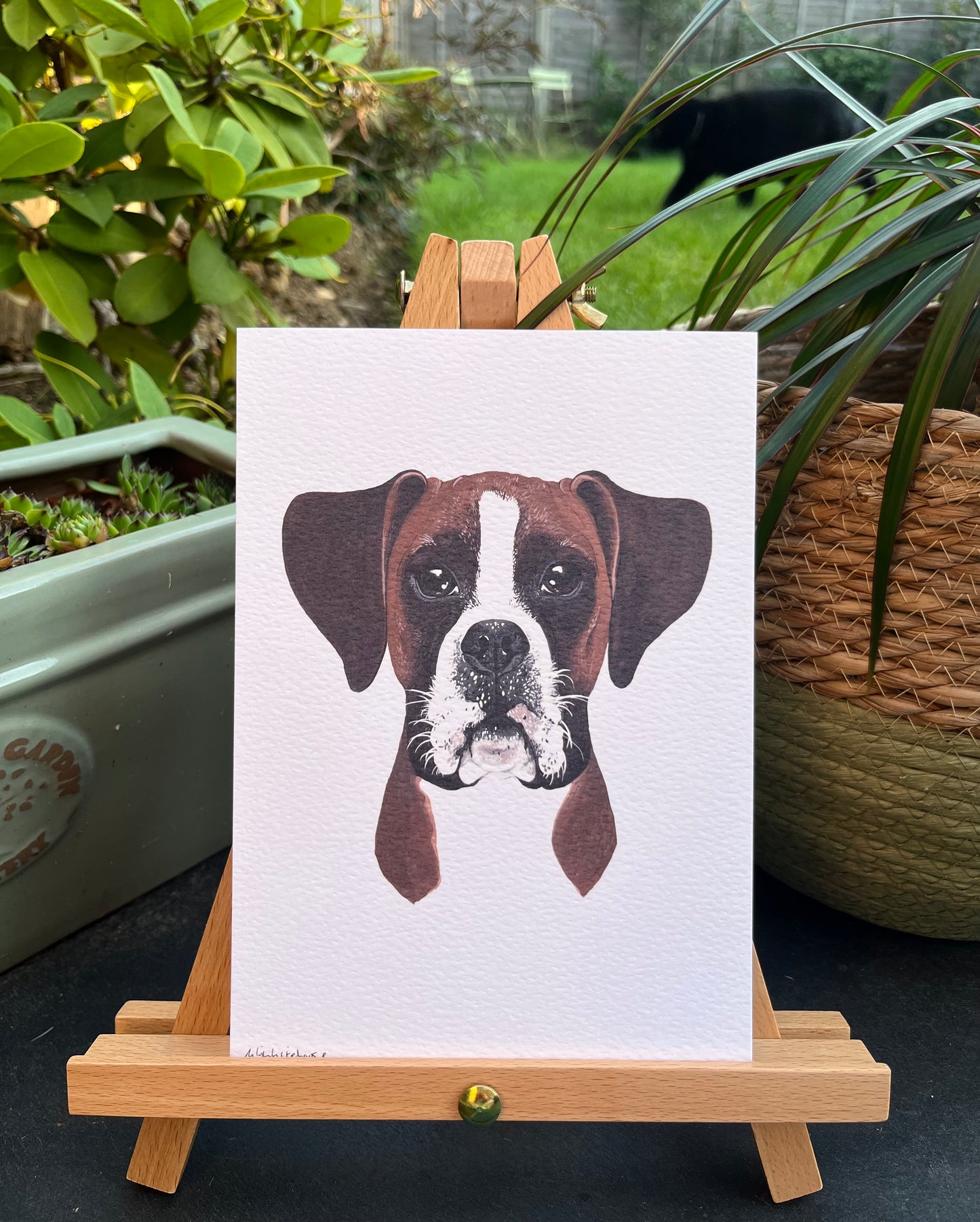 A5 BOXER