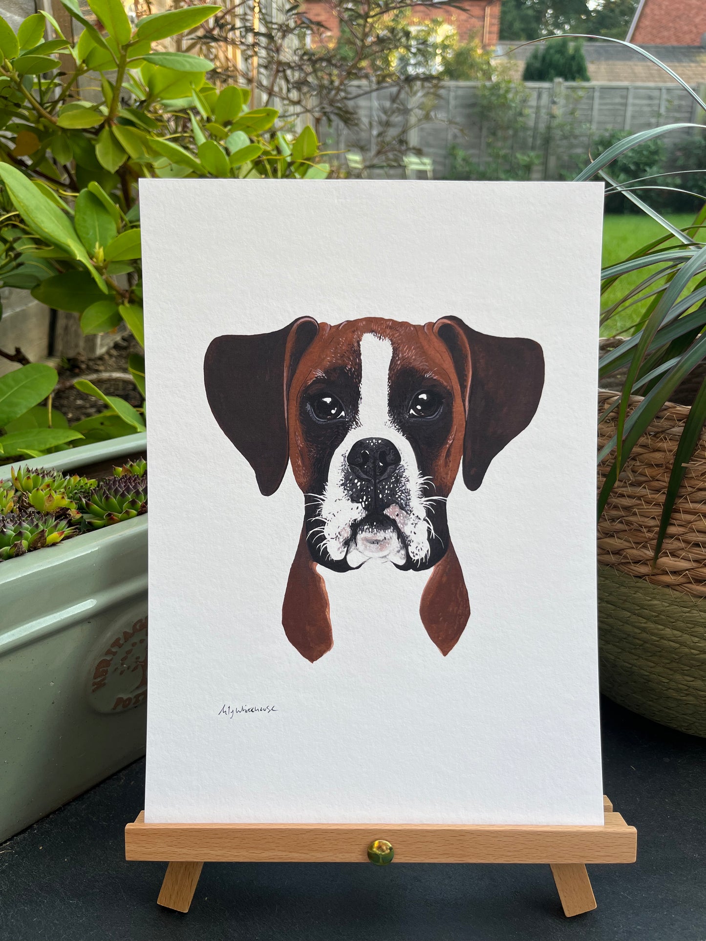A4 BOXER