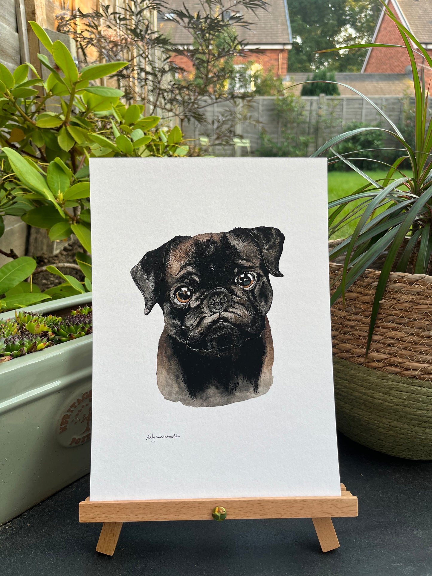A4 PUG
