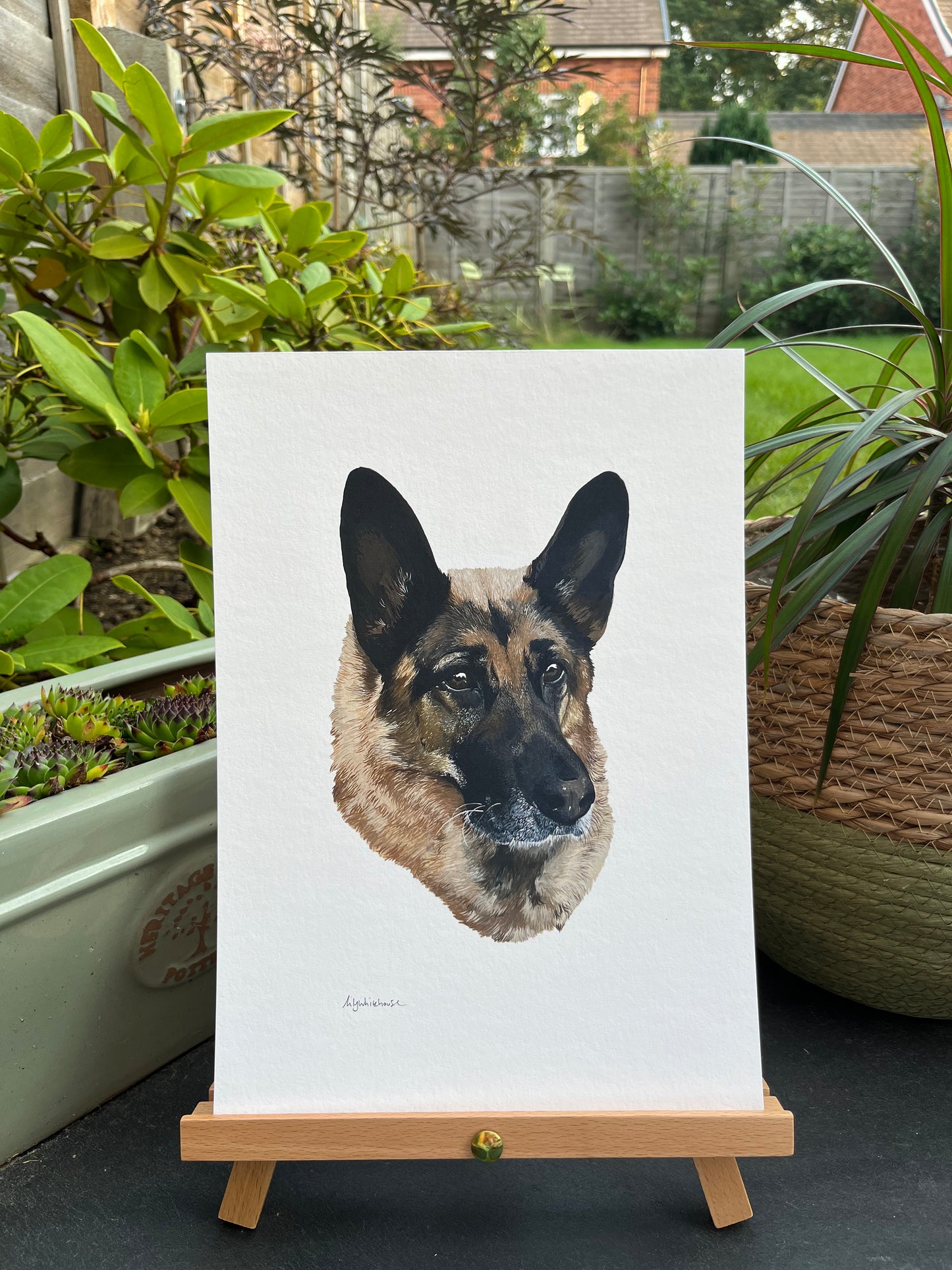 A4 GERMAN SHEPHERD