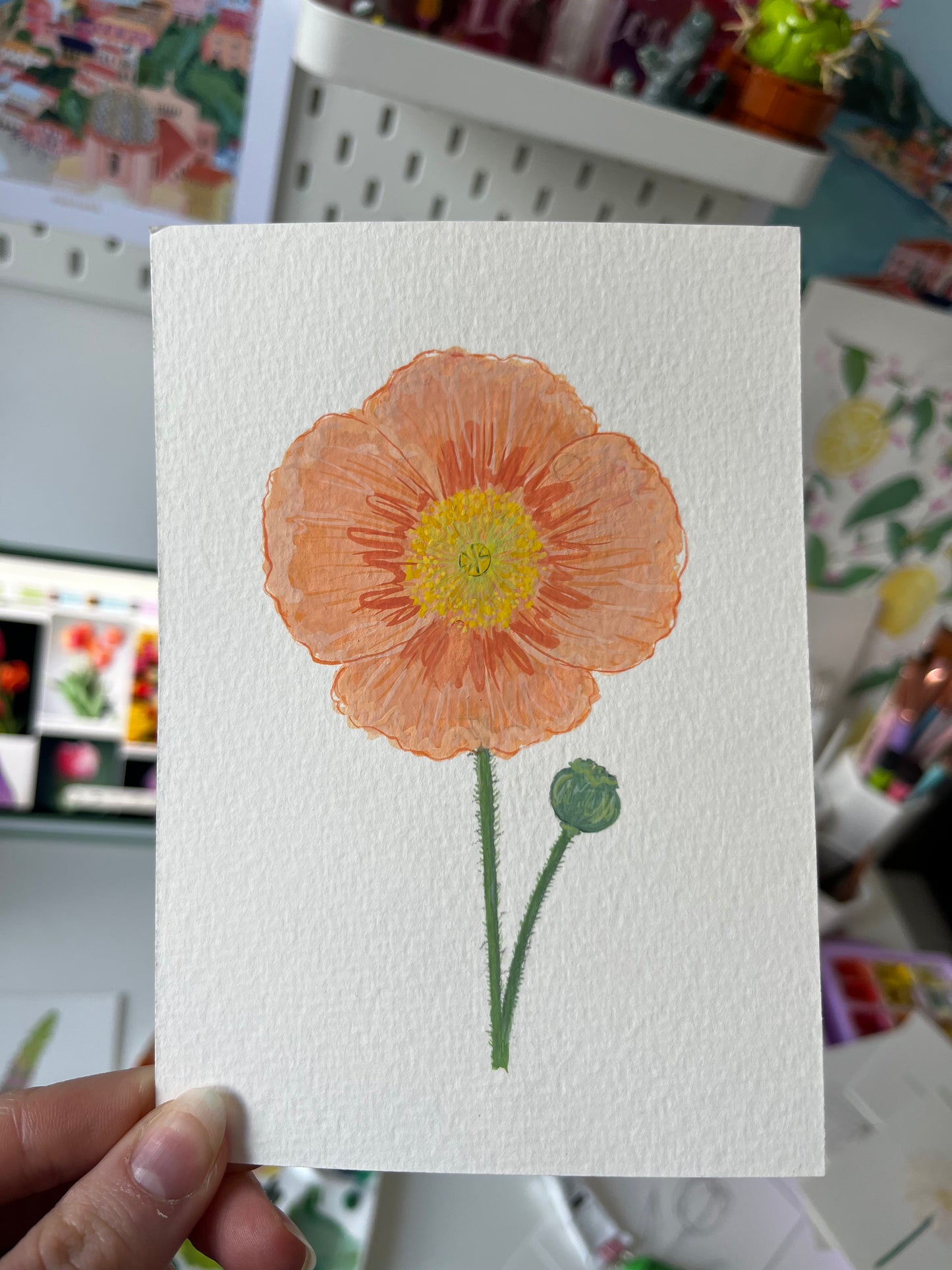 Plant Postcards
