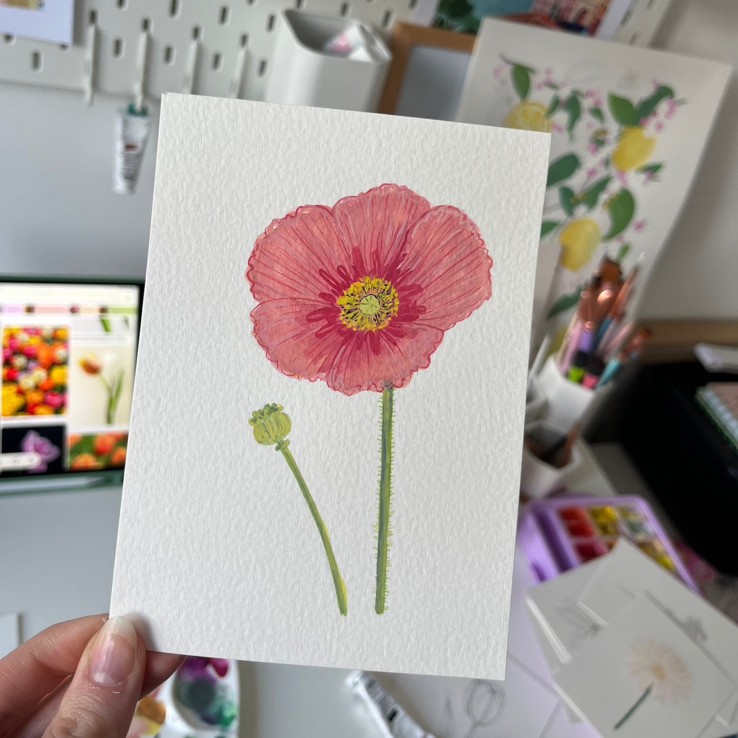 Plant Postcards